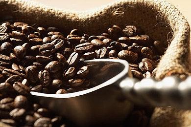 《彩虹六号：异种》创意总监：新作干员是经过千挑万选的